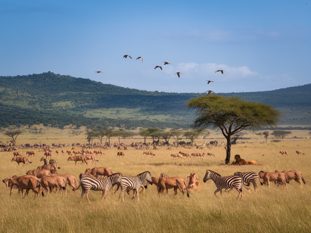 La réserve du Masaï Mara au Kenya : un trésor de biodiversité